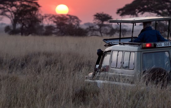 Kenya Safari Holiday